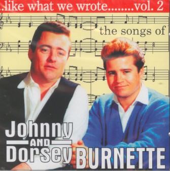 V.A. - Like What We Wrote Vol - 2 : The Songs Of Johnny..